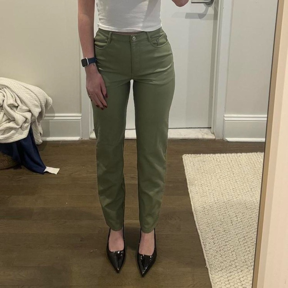 Aritzia Melina Faux Fur Leather Pants in Light Green